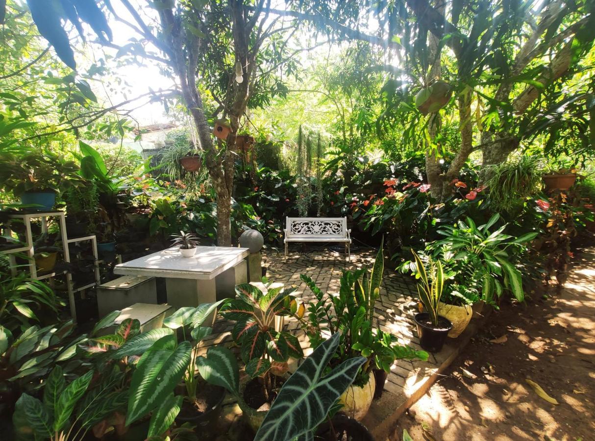 Bird House Homestays 탕갈레 외부 사진